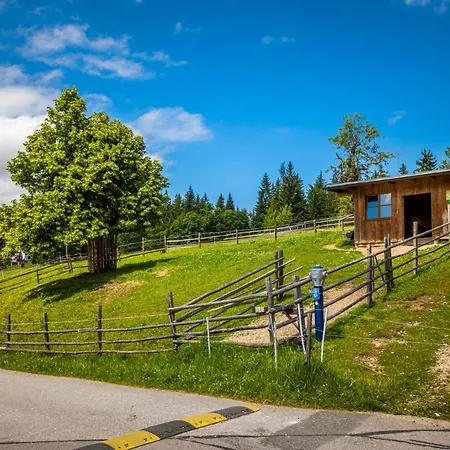 Daarhof * Wagrain