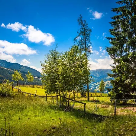 Apartman Daarhof