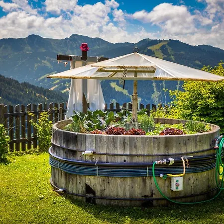 Apartment Daarhof Wagrain