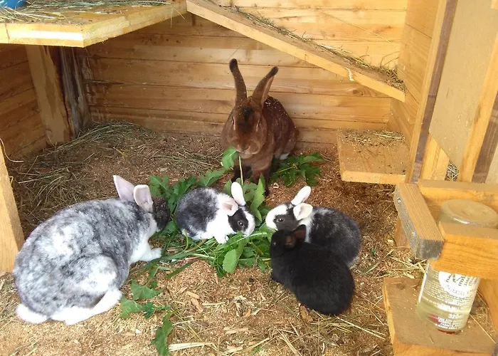 Daarhof Appartamento